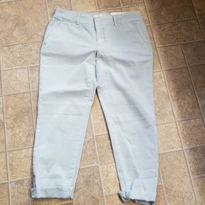 LOFT Girlfriend Chino